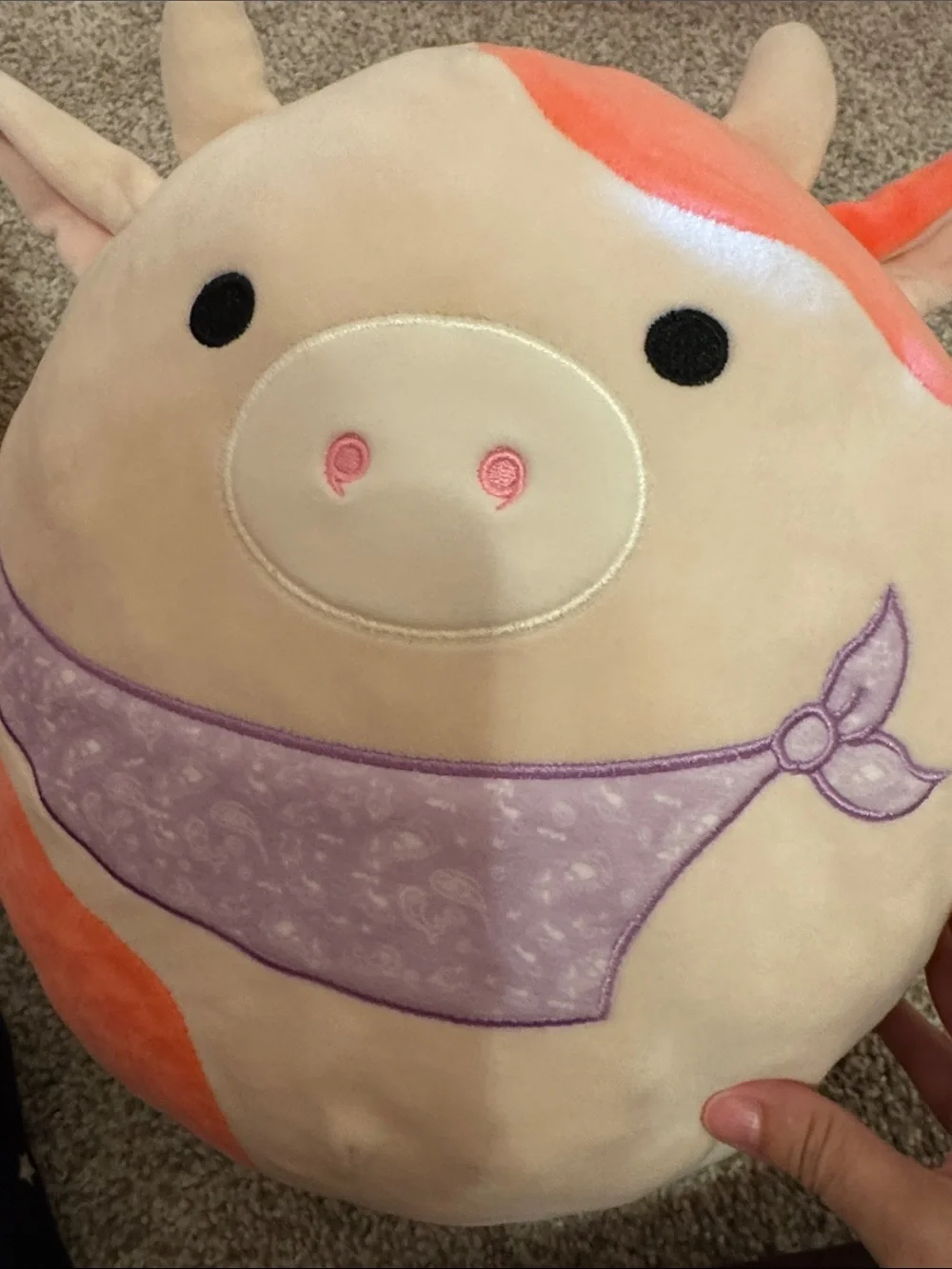 Squishmellows
